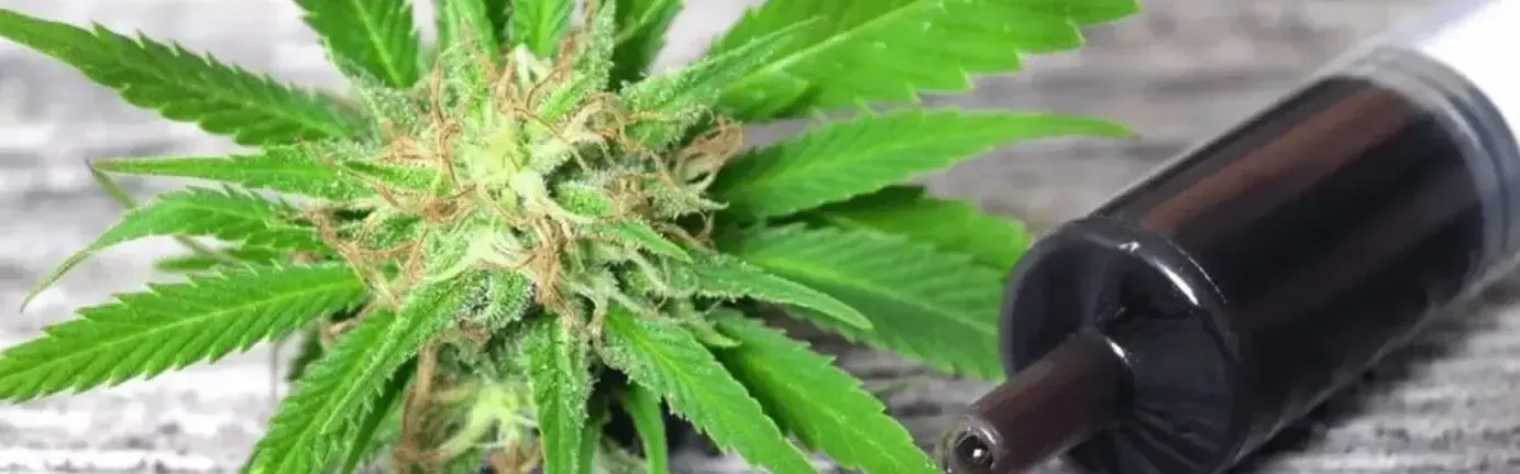 Cannabis flower bud next to a dark oil cartridge on wood